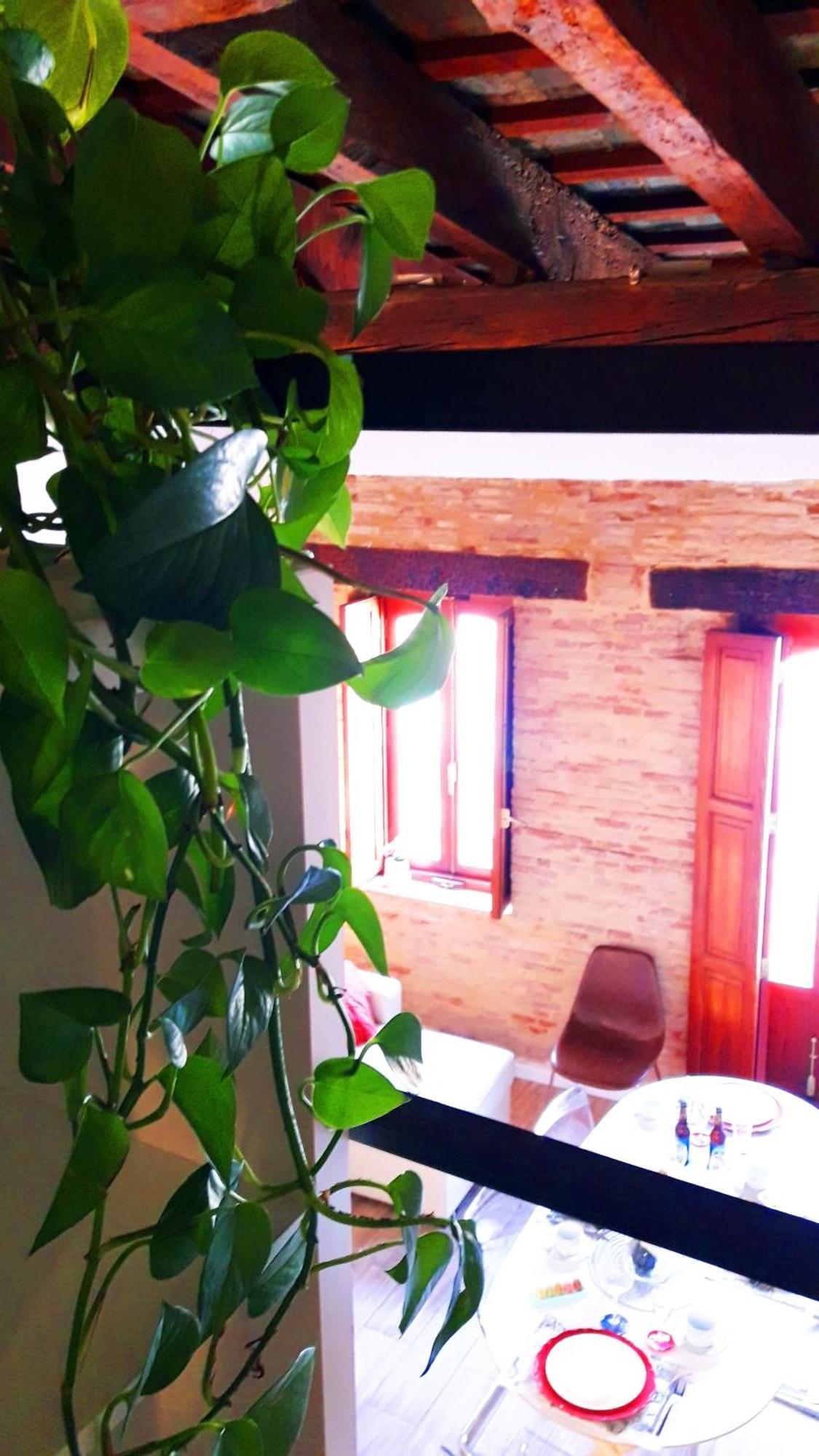 Bolseria Centricos Apartamentos En El Carmen バレンシア エクステリア 写真